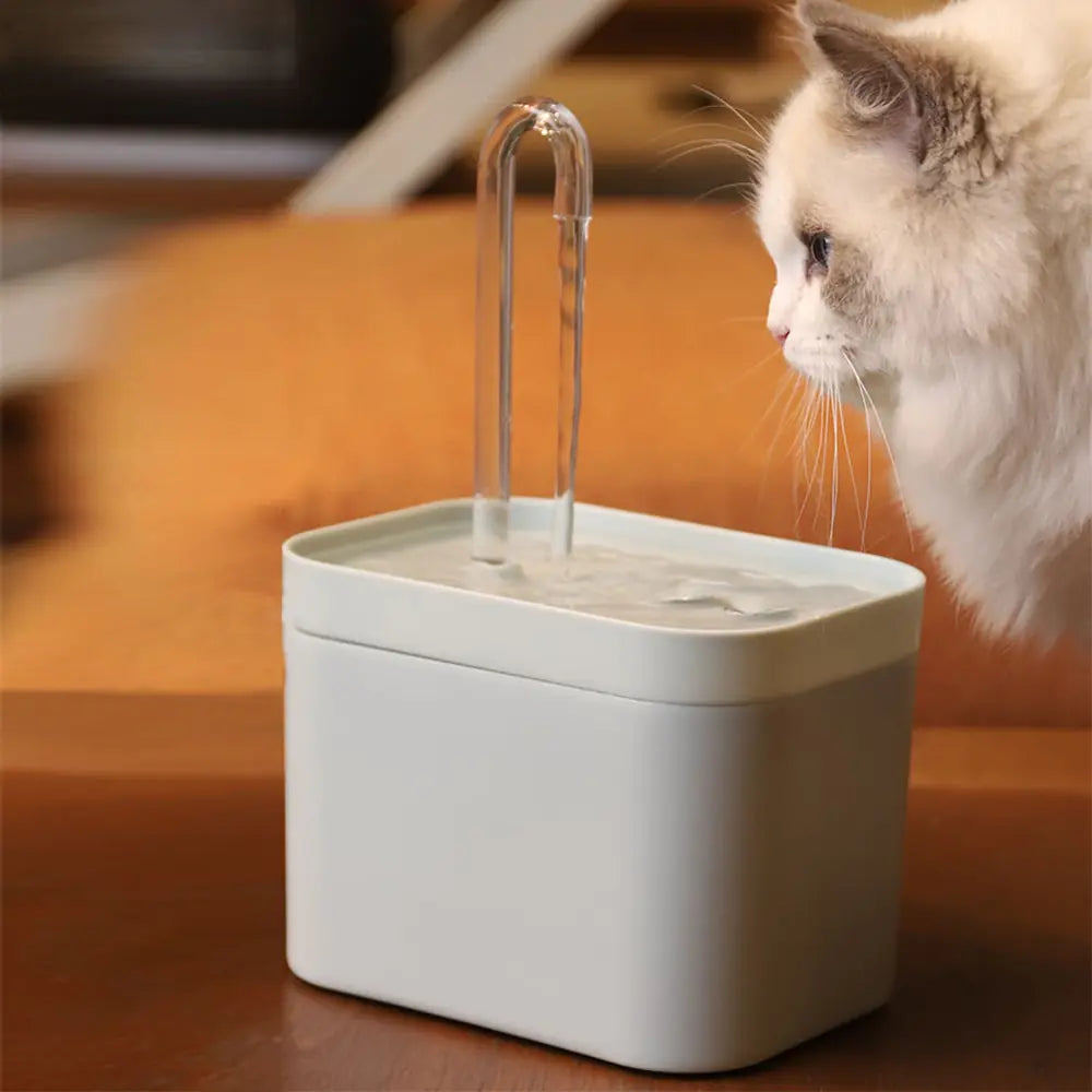 AquaPaws Cat Water Fountain